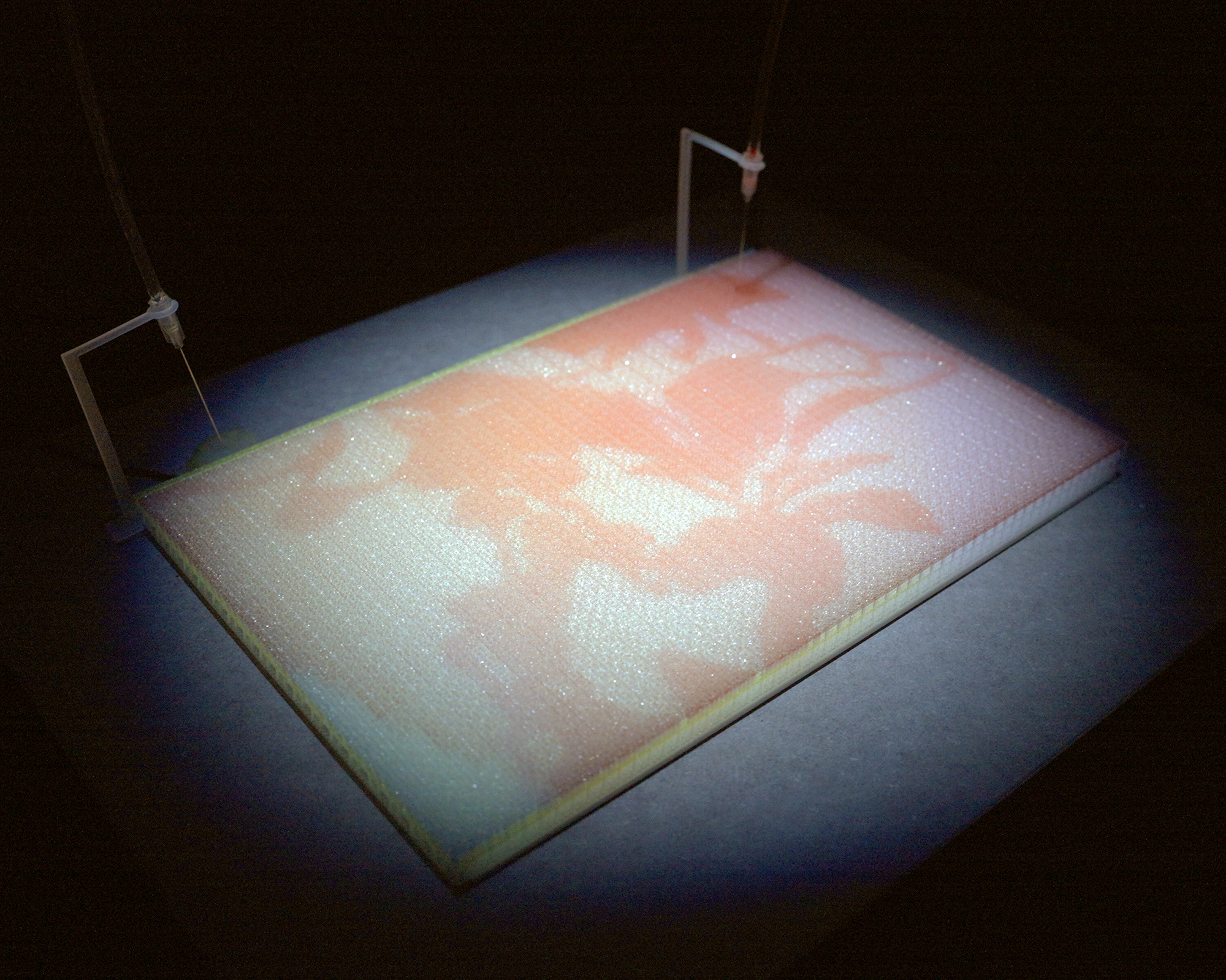 Fluidic Painting Tomomi Nitta, Yahui Lyu, Yasuaki Kakehi